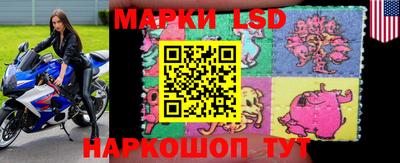 шишки Абакан
