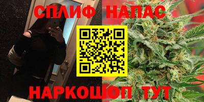 шишки Абакан