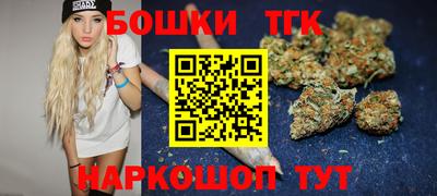 шишки Абакан