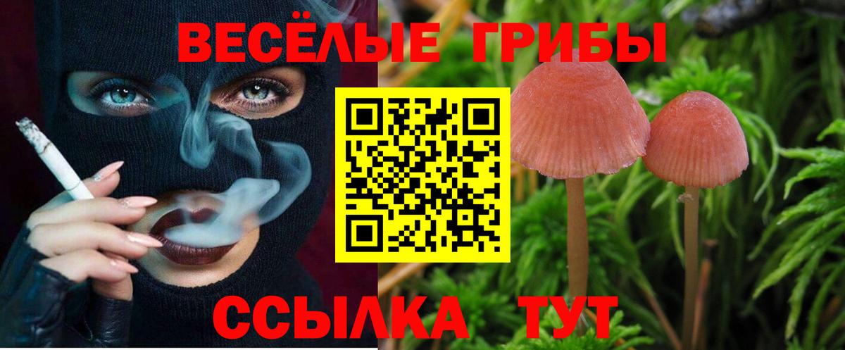 Галлюциногенные грибы GOLDEN TEACHER  Вход с VPN  Людиново 